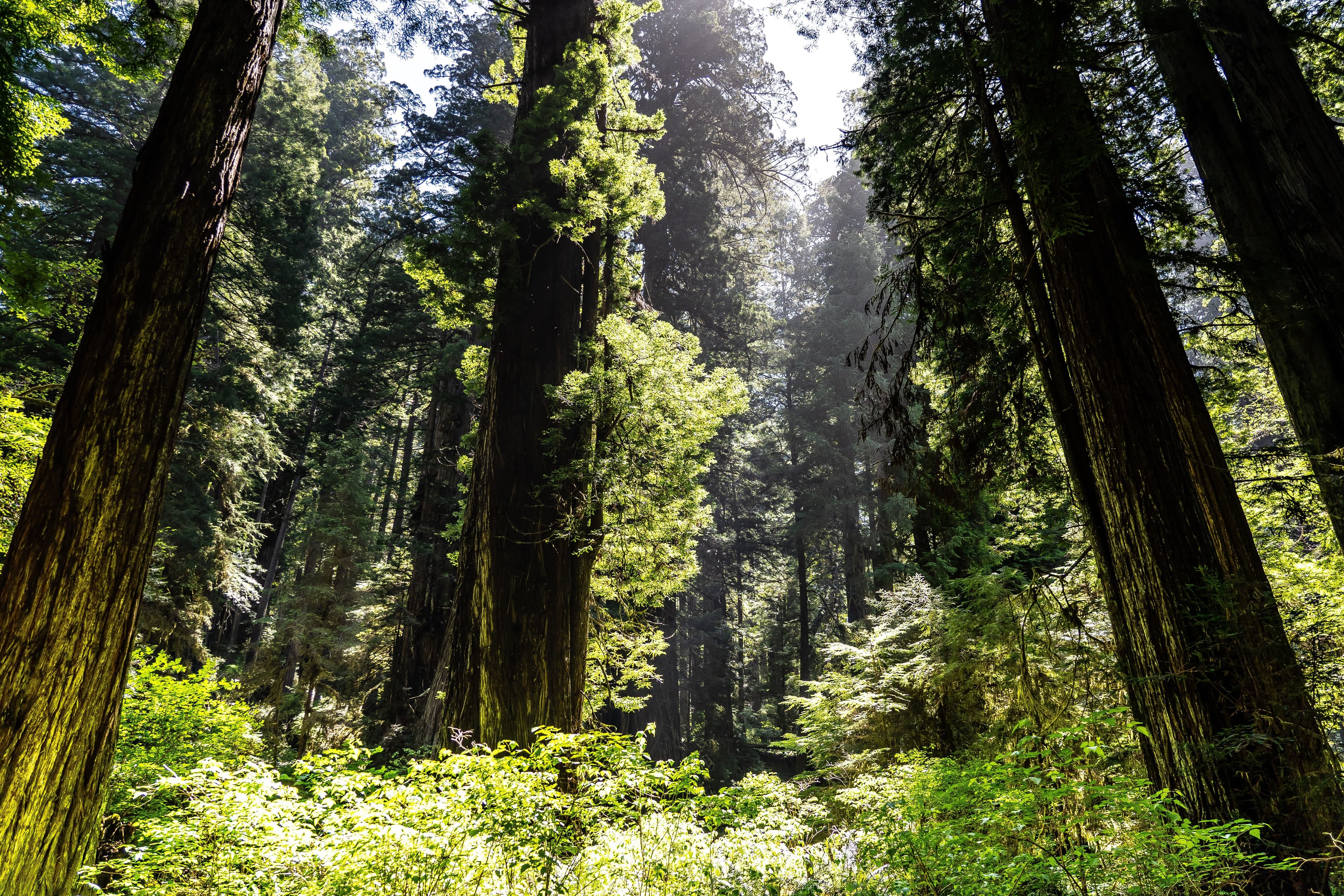 UN Talks on Protecting Biodiversity are Moving Slowly