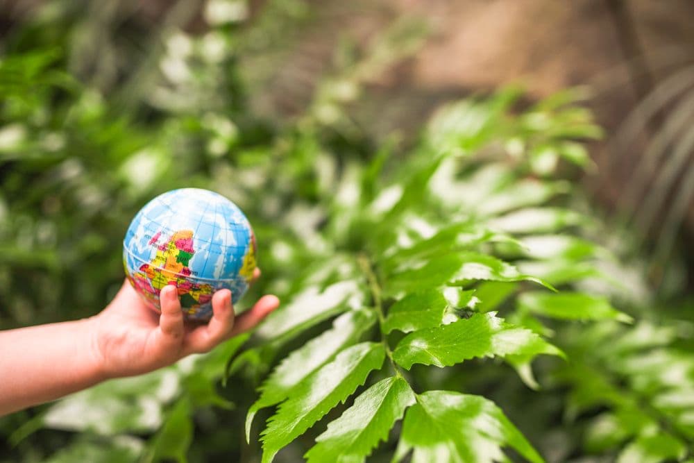 BorgWarner Publishes 2024 ESG Progress