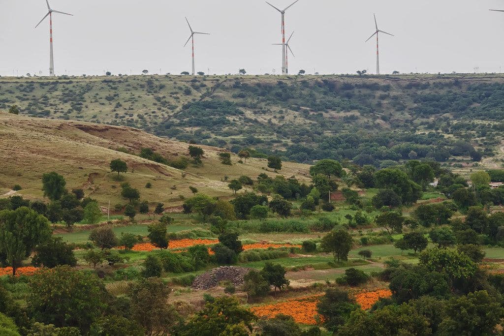 ReNew Power Makes an Impressive Debut in the CDP Ranking for Climate Change Efforts and Transparency
