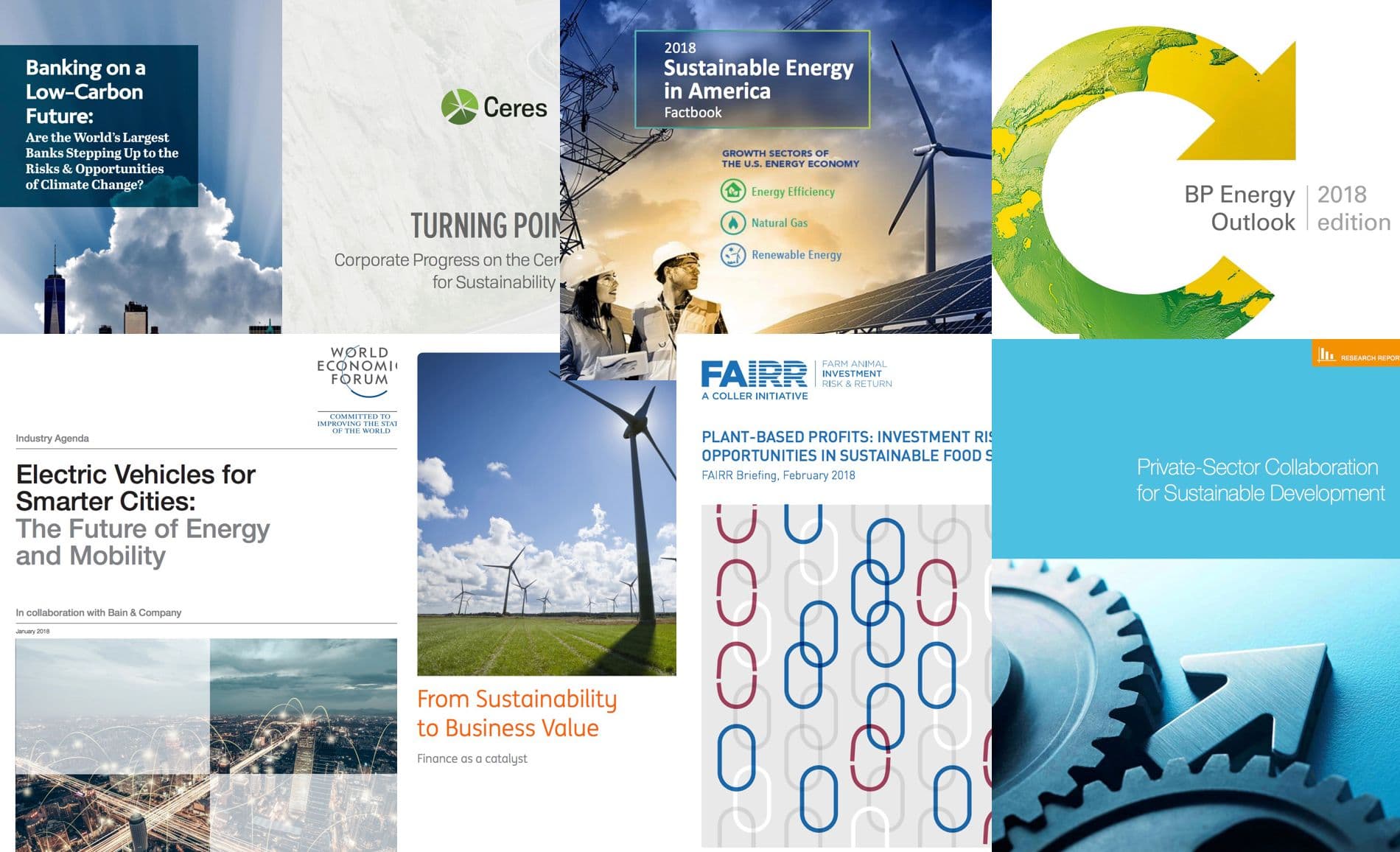 The banking CEO’s outlook on ESG: reducing risks, seizing opportunities