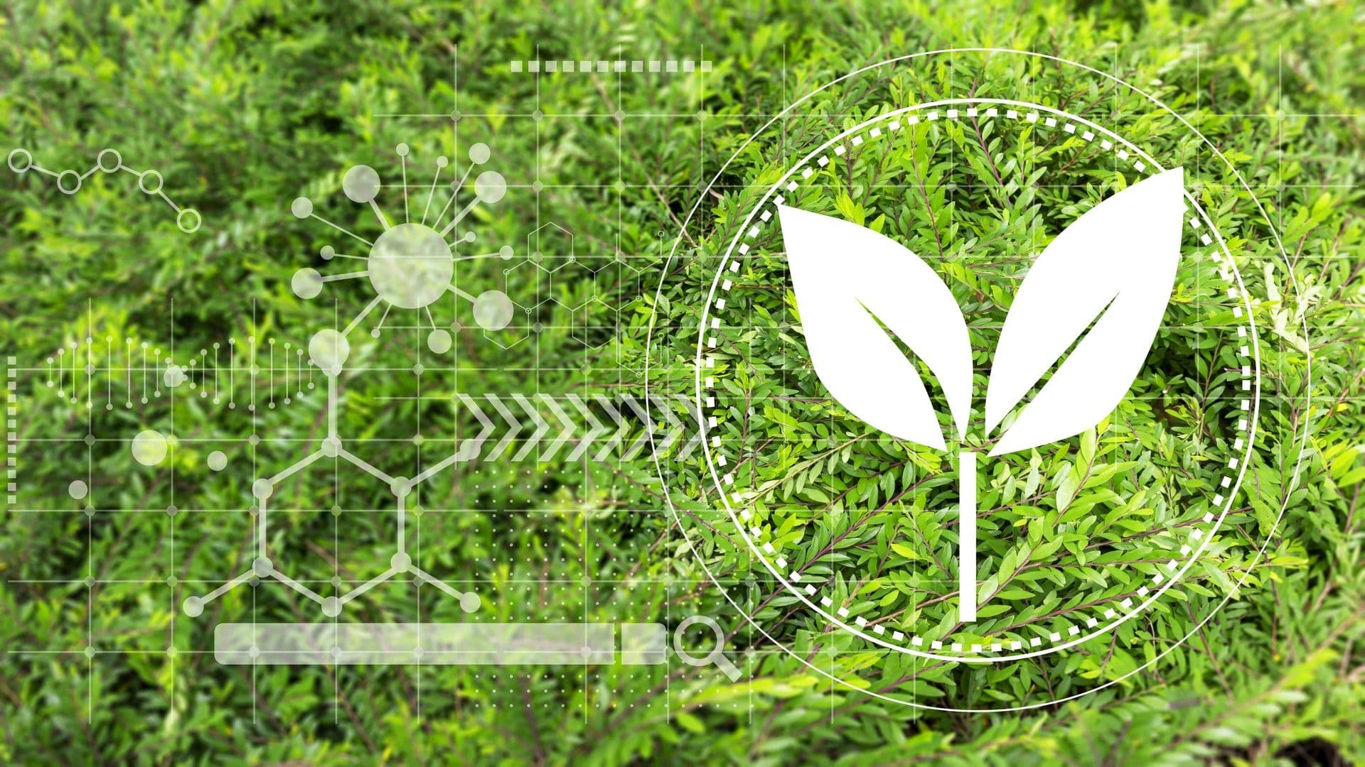Hexagon's Digital Solution for Rainforest Conservation