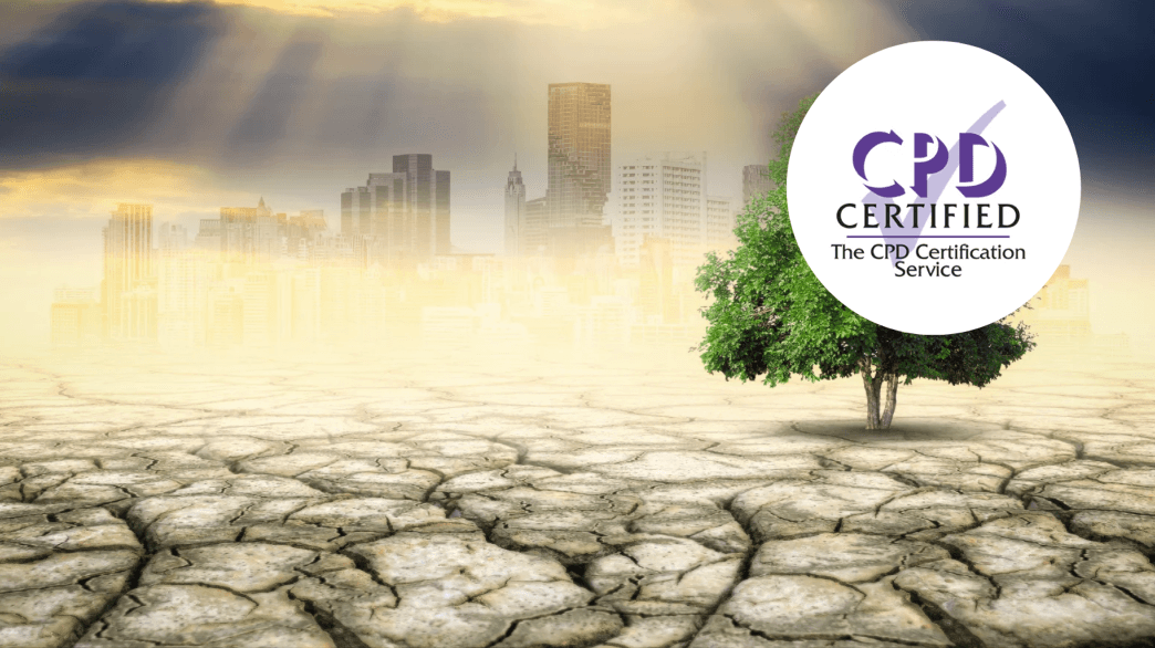 Climate and Carbon Reduction Business Strategy by EcoSkills (Certified Course)