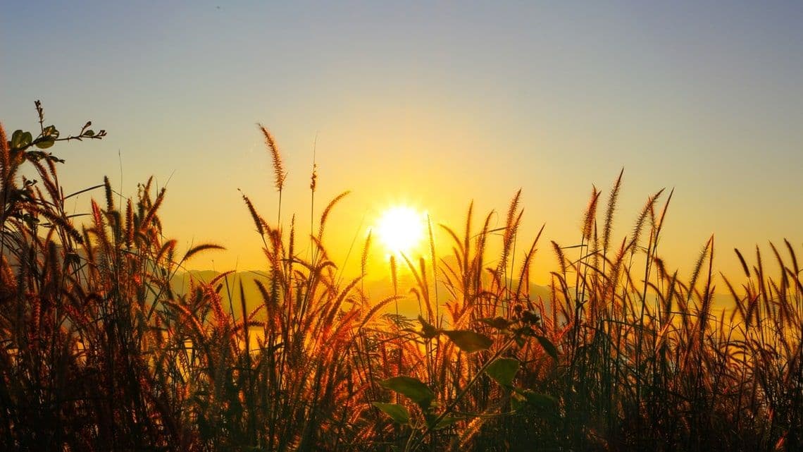 Crowe, Envirly Partner for Comprehensive ESG Support