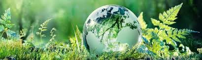 Certificate in sustainable investing and finance