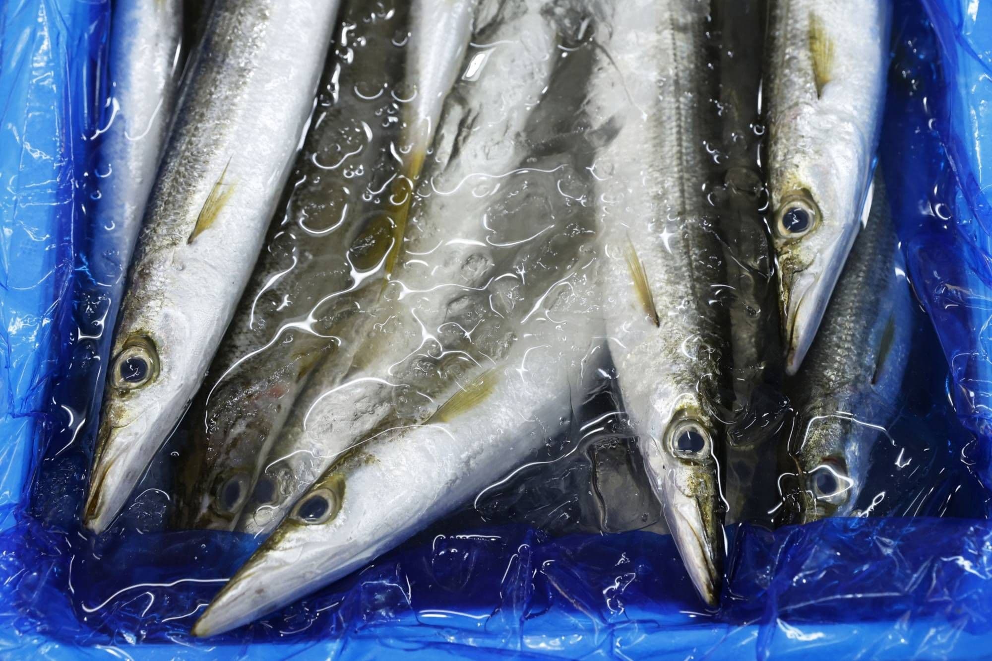 In a Bid to Help Oceans, Maruha Nichiro Plans to Issue Japan’s First Blue Bond