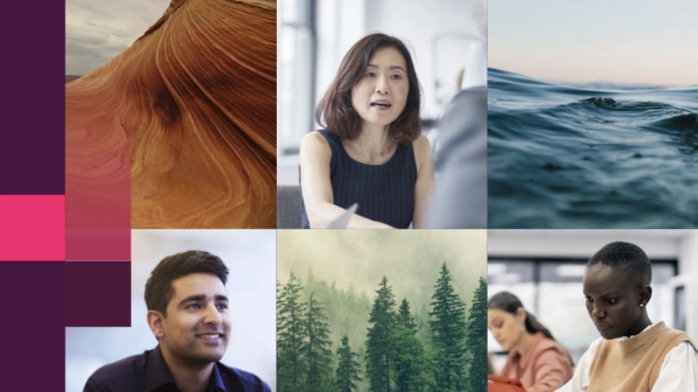 Clario Boosts Diversity, Cuts Emissions in ESG Report