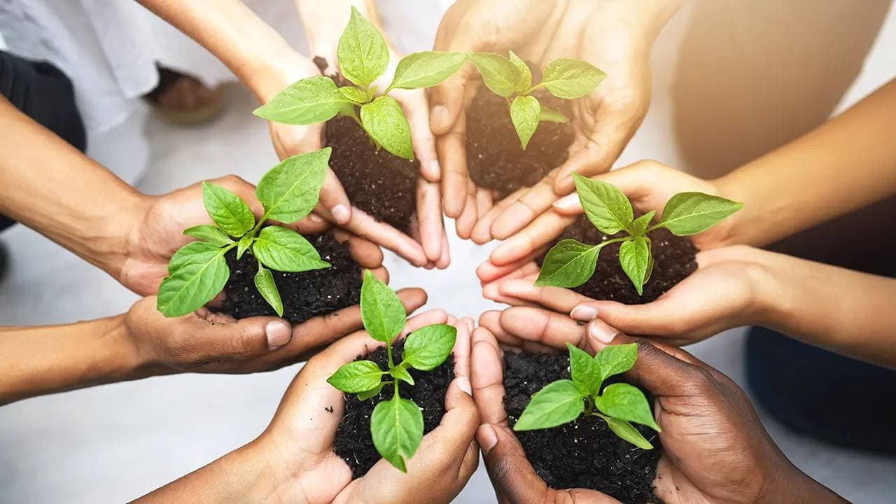 Sustainability Ratings Up by 127%, Led by APAC: EcoVadis