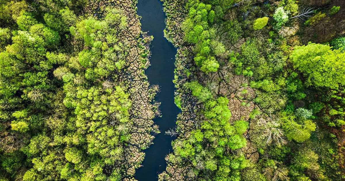 ACCC's Draft Guidelines to Thwart Greenwashing