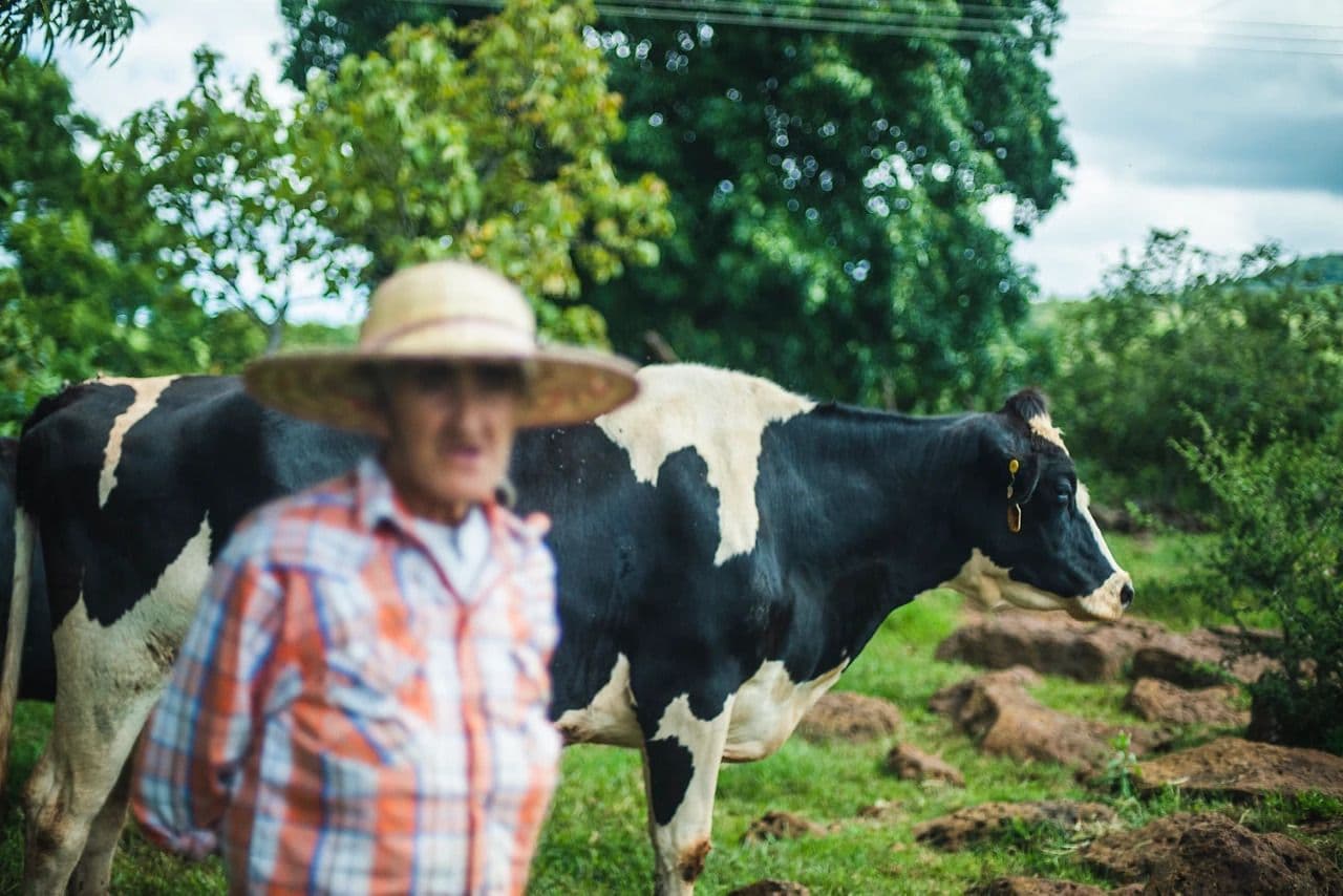 Danone to Reduce its Methane Emissions