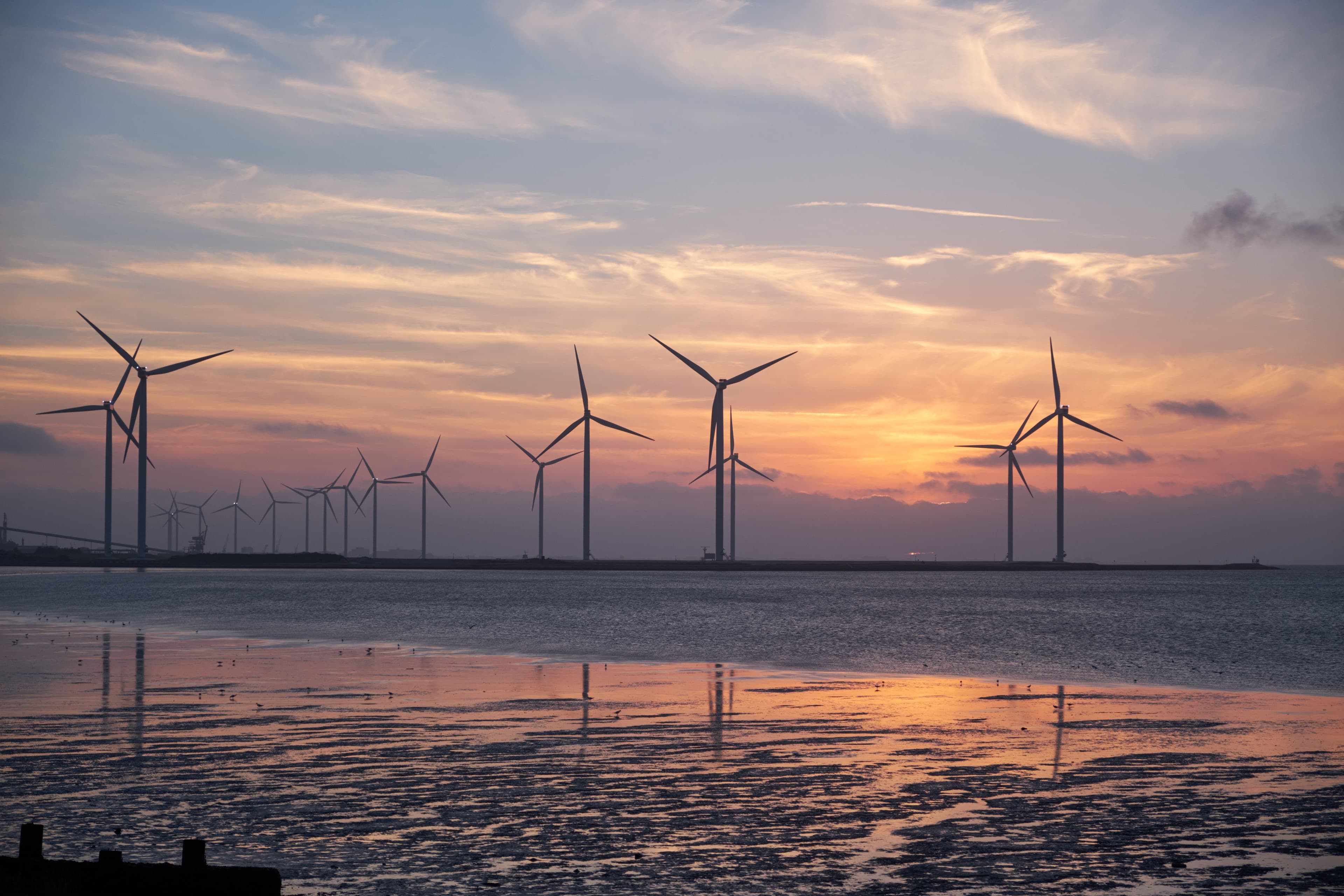 Renewable Energy Project Costs Rise, Demand Stays Strong