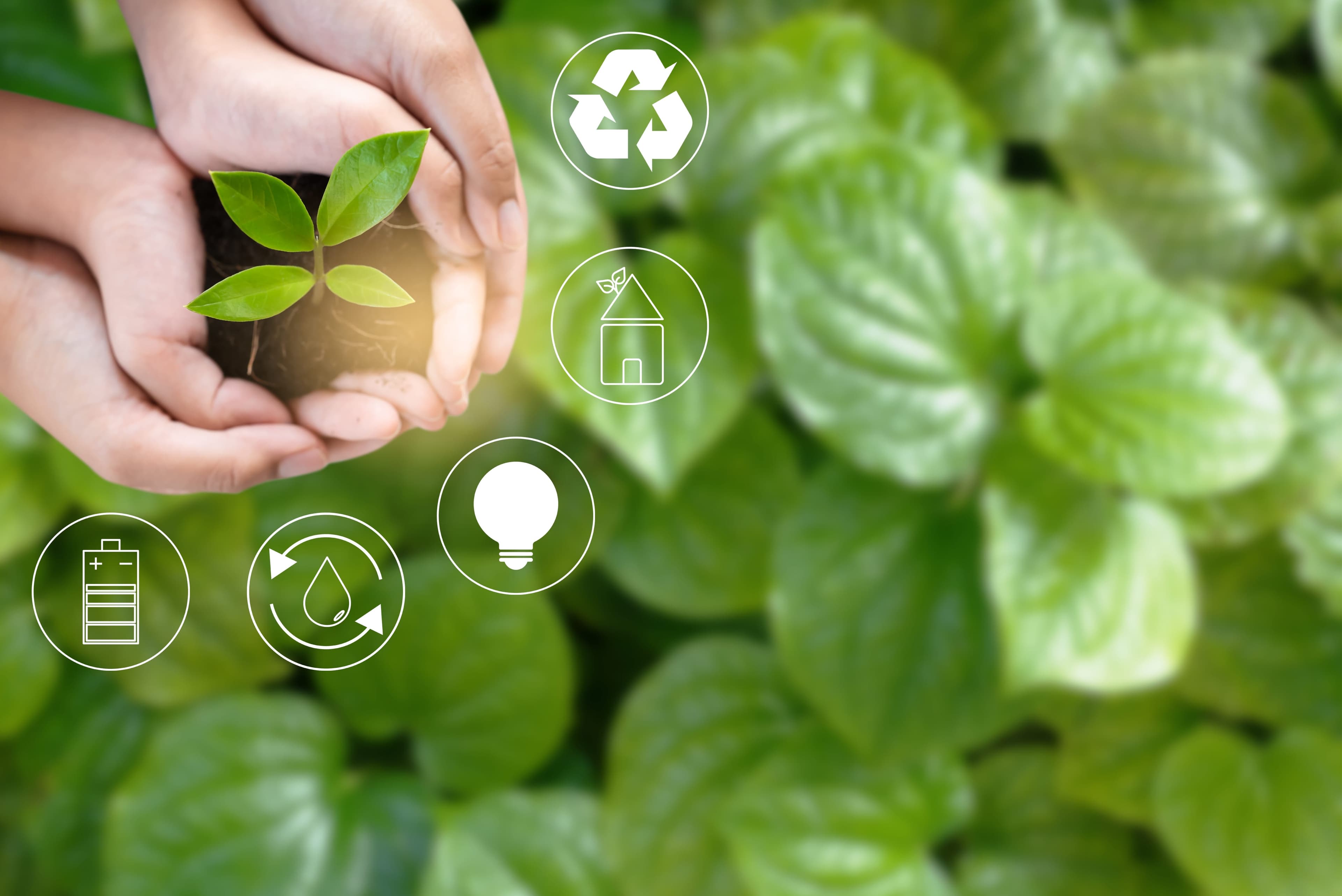 Global Business Events' Guide to Best Practices