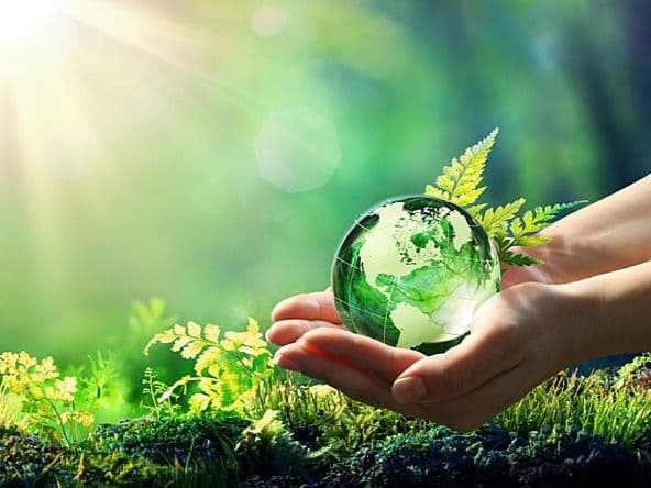 More on Change and Sustainability