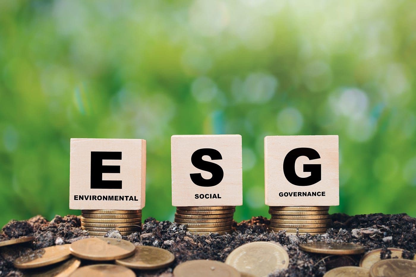 Sustainability & ESG Certificate Program