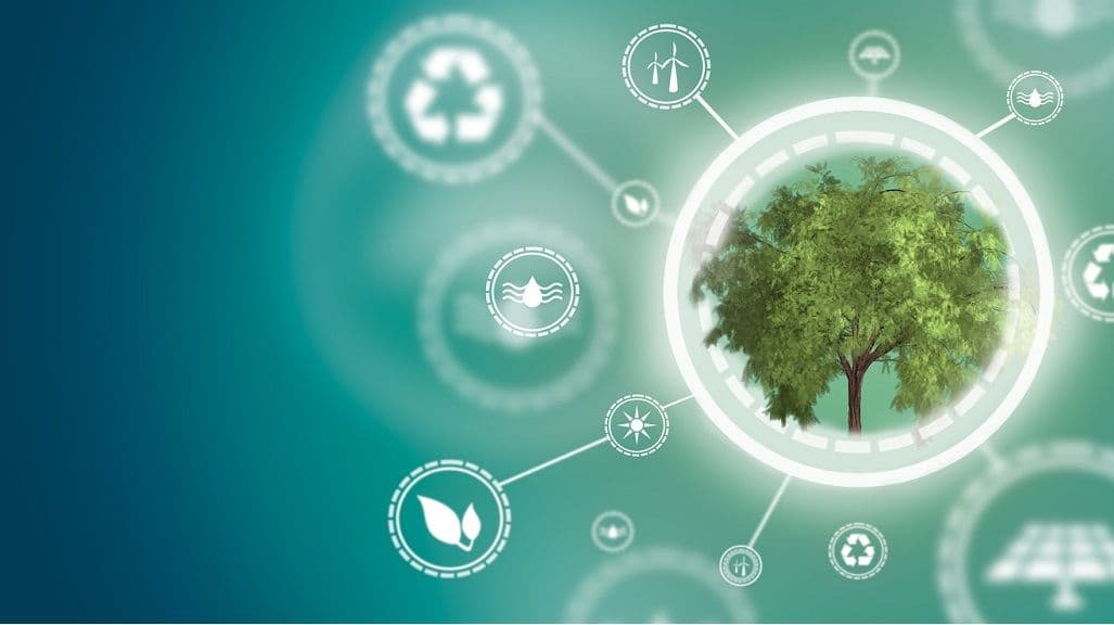 Day of Sustainability