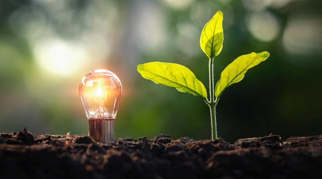ESG Agencies Laud Ignitis Group's Progress