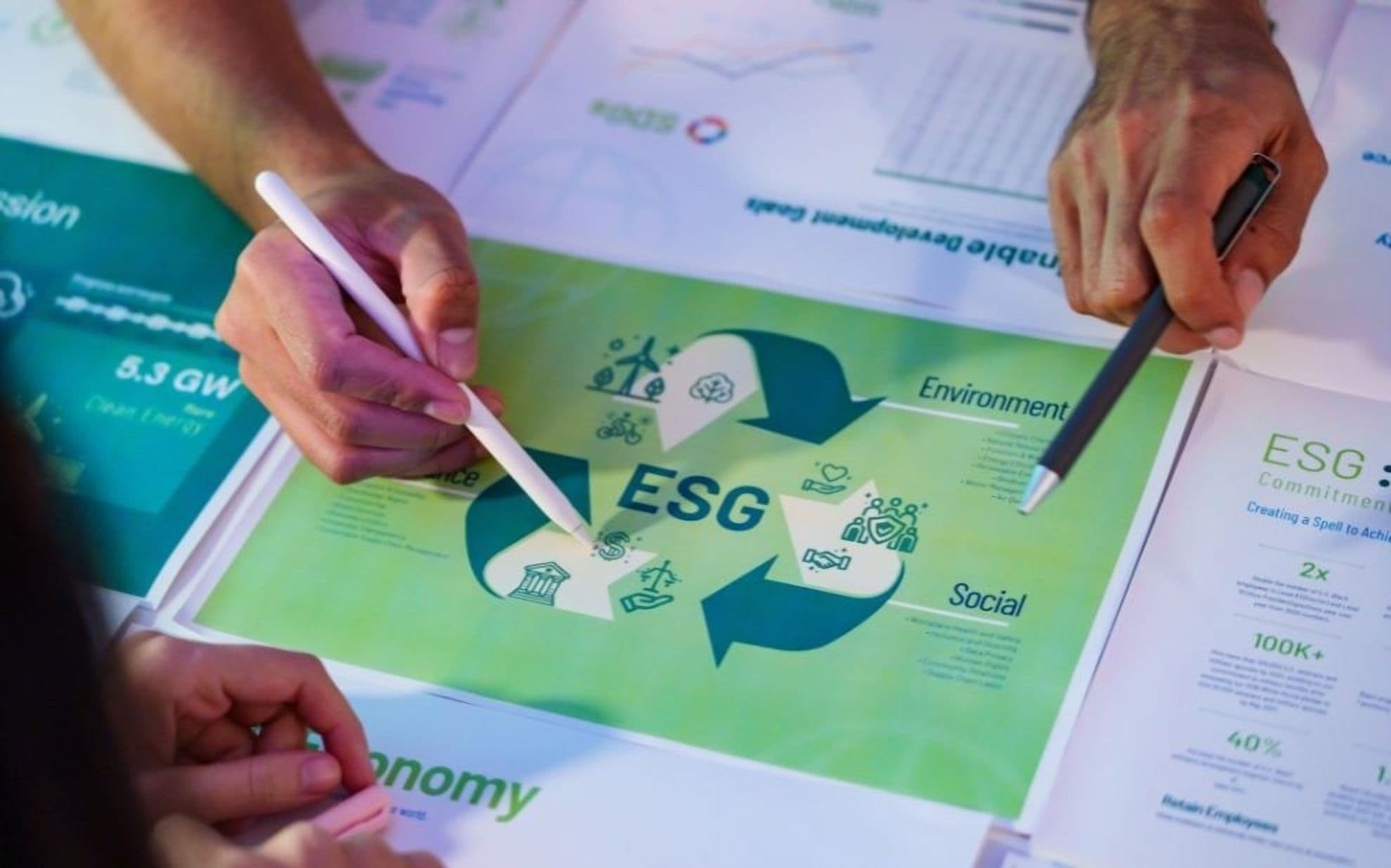 Environmental Governance and Sustainability