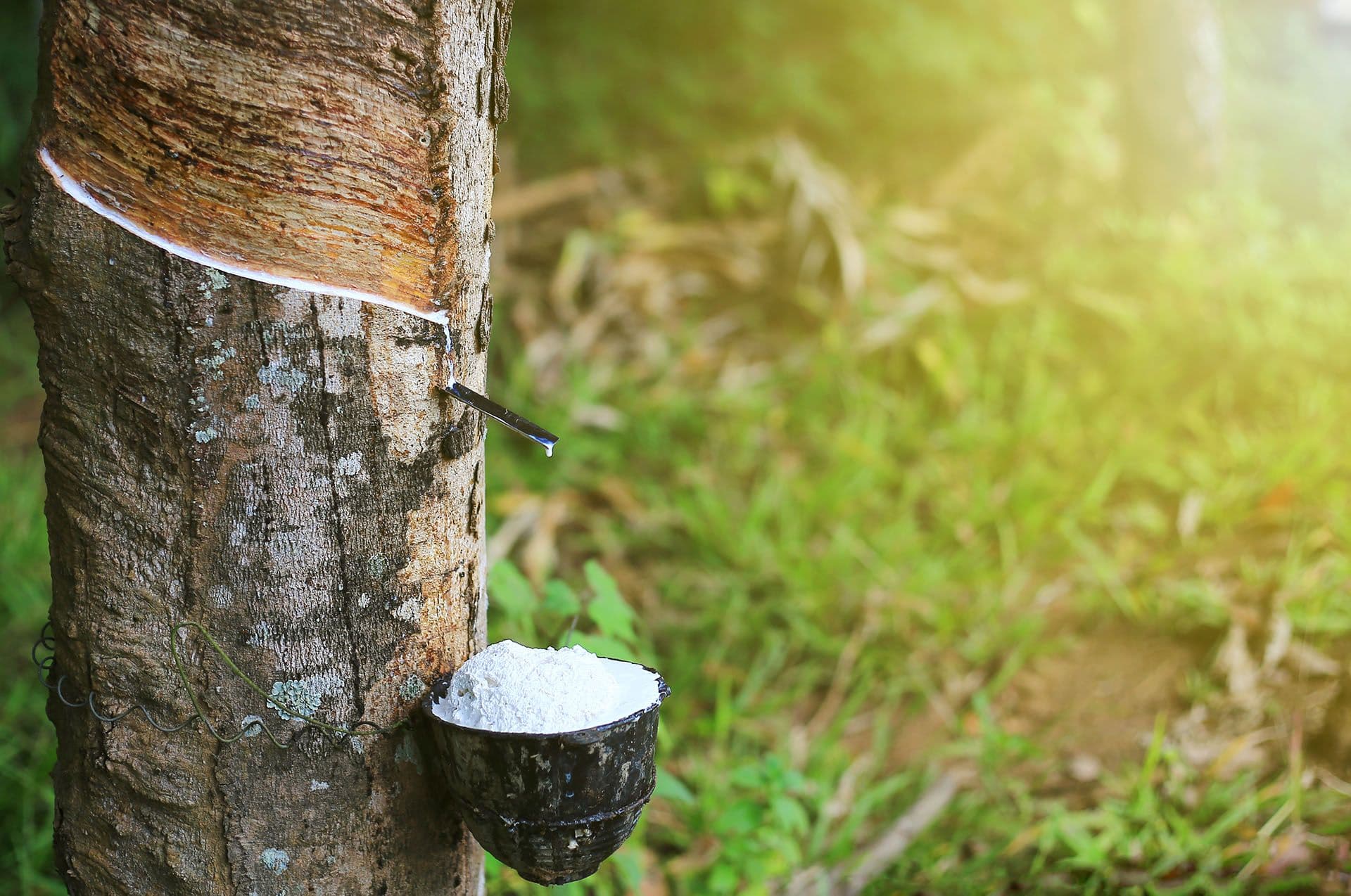 LanzaTech and Sumitomo Riko Partner to Create Substitute for Natural Rubber Production