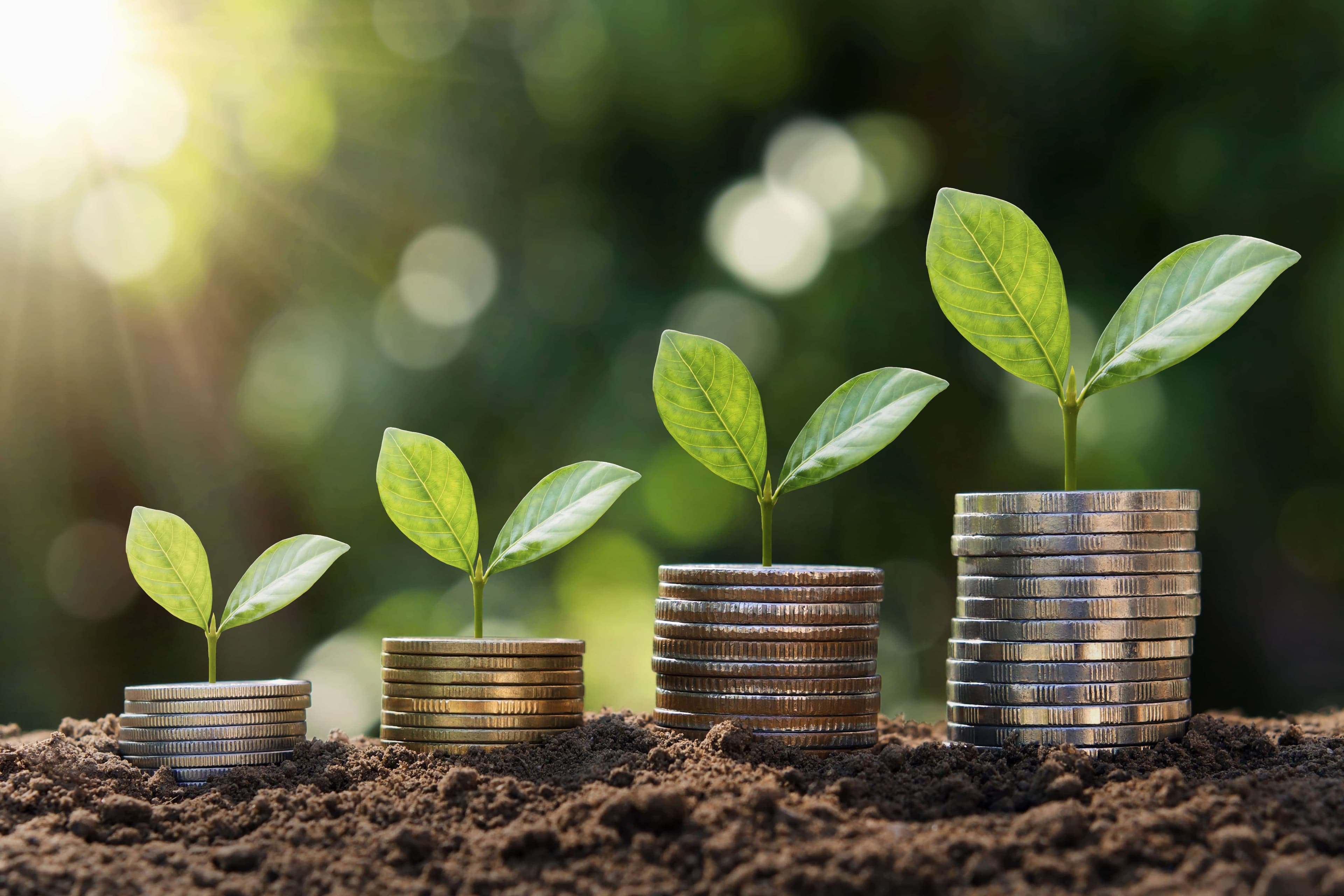 Examining PFS Insights on Sustainable Finance