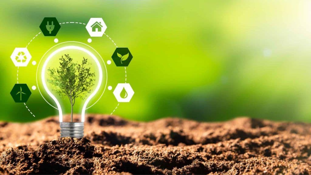 Sustainability Business 2025
