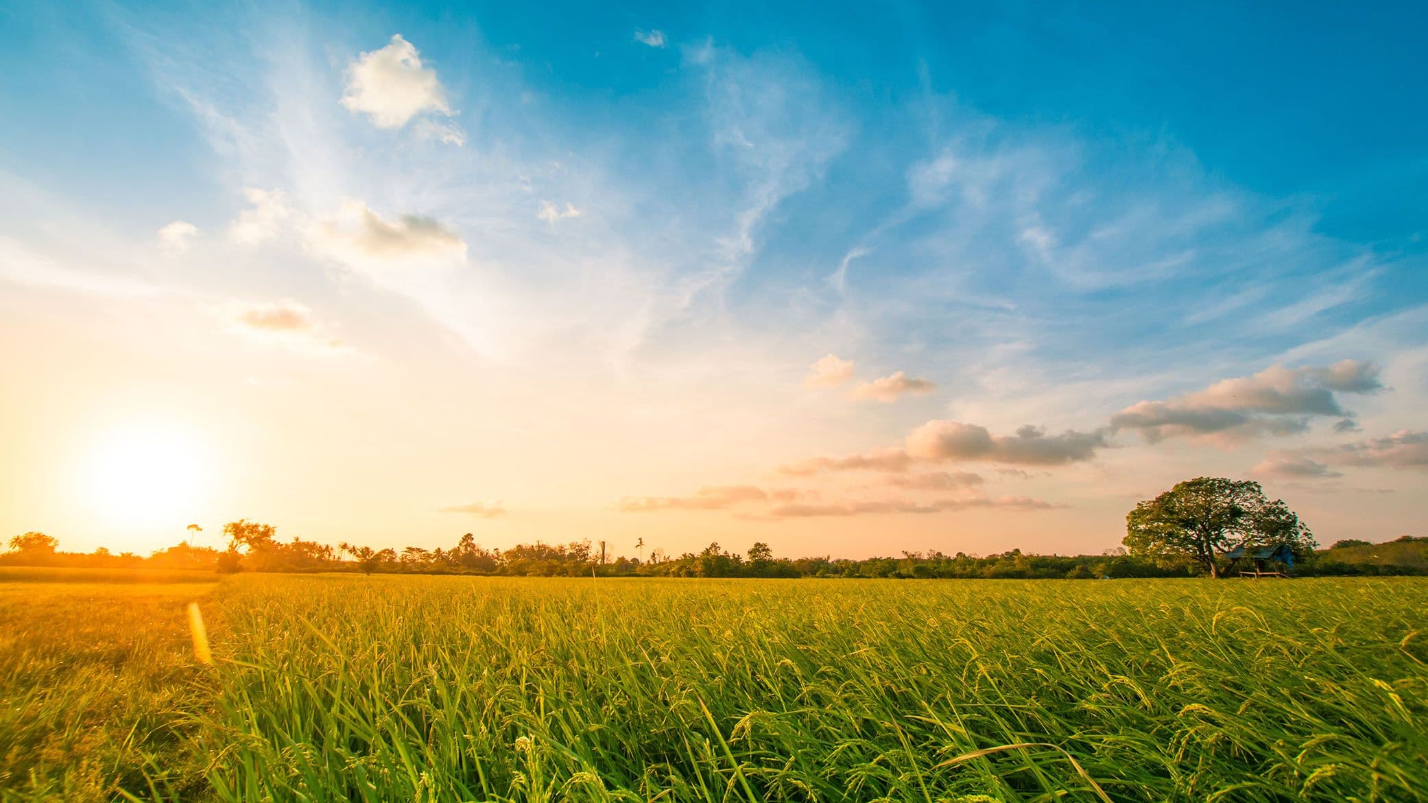 Standard Chartered Commits to Reducing Methane Emissions