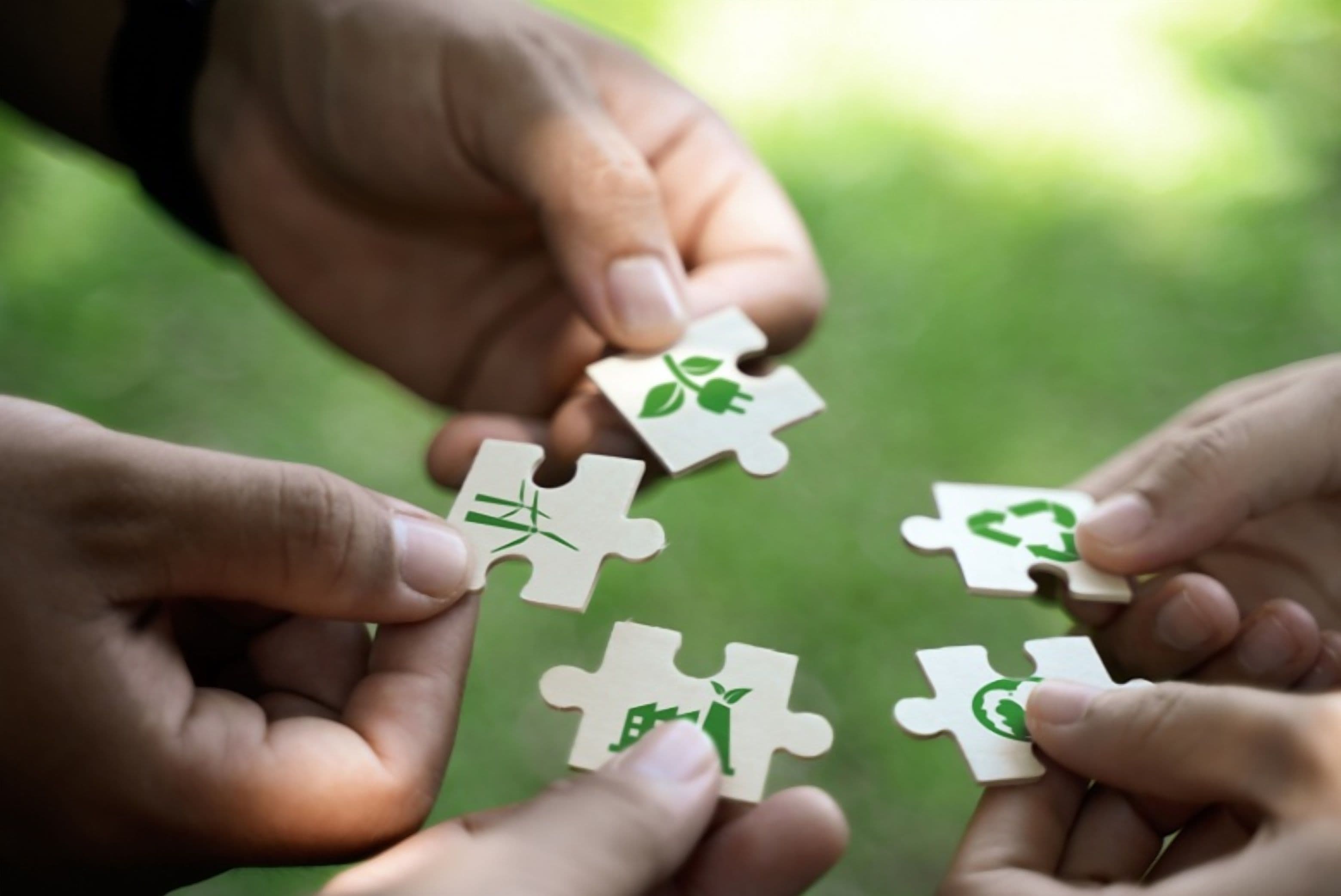 APEC Report: Green Recovery is a Priority, Not an Option