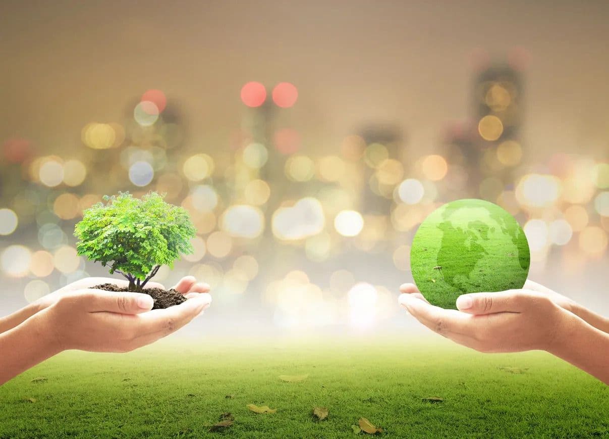 Over Half of European Companies Invest in Climate Action