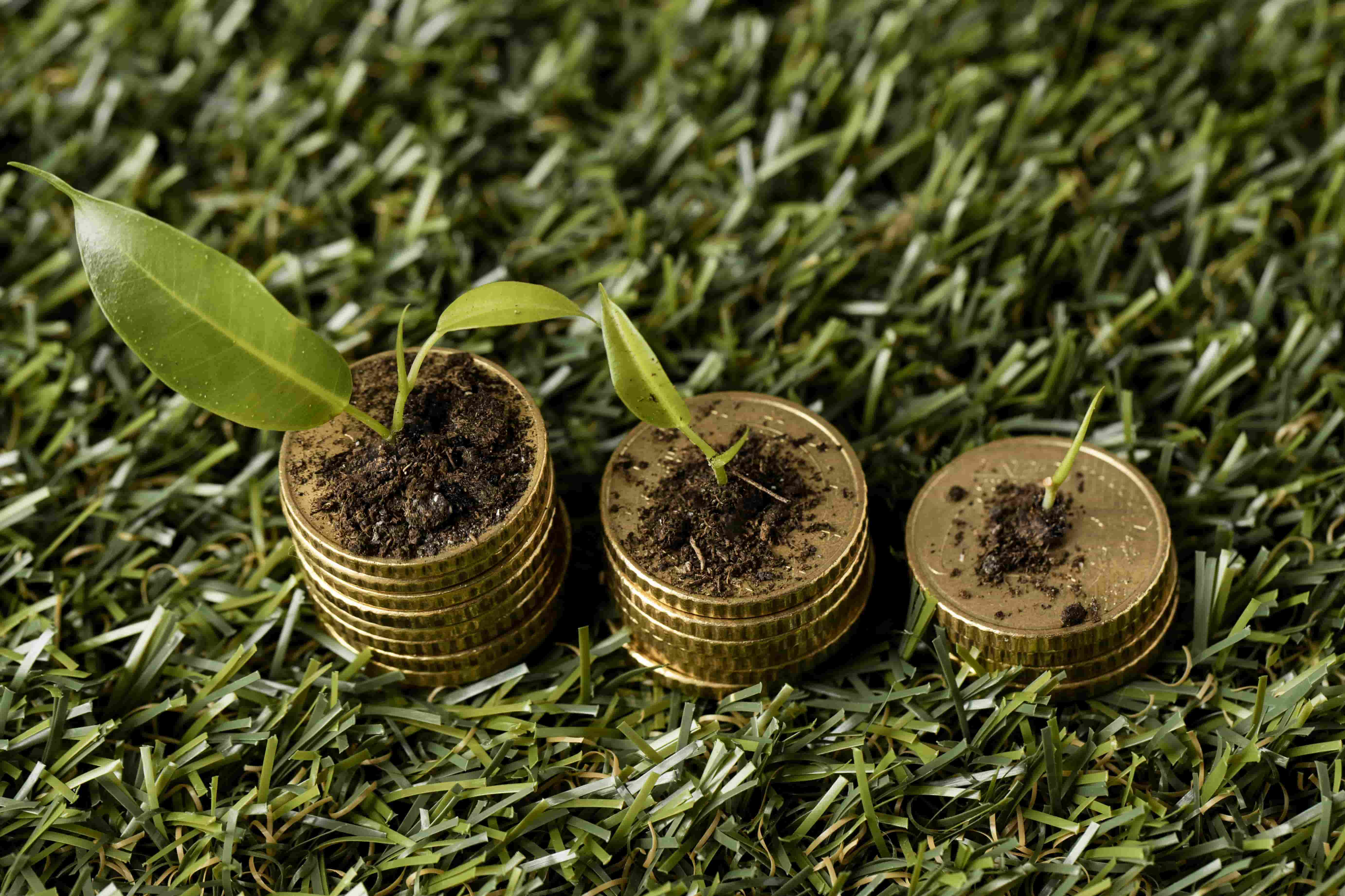 ABN Amro Sees Sharp Decline in ESG Bond Issuance