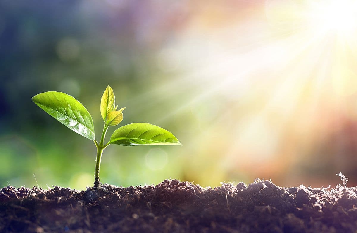 Avangrid's Green Sweep: 14 ESG Awards