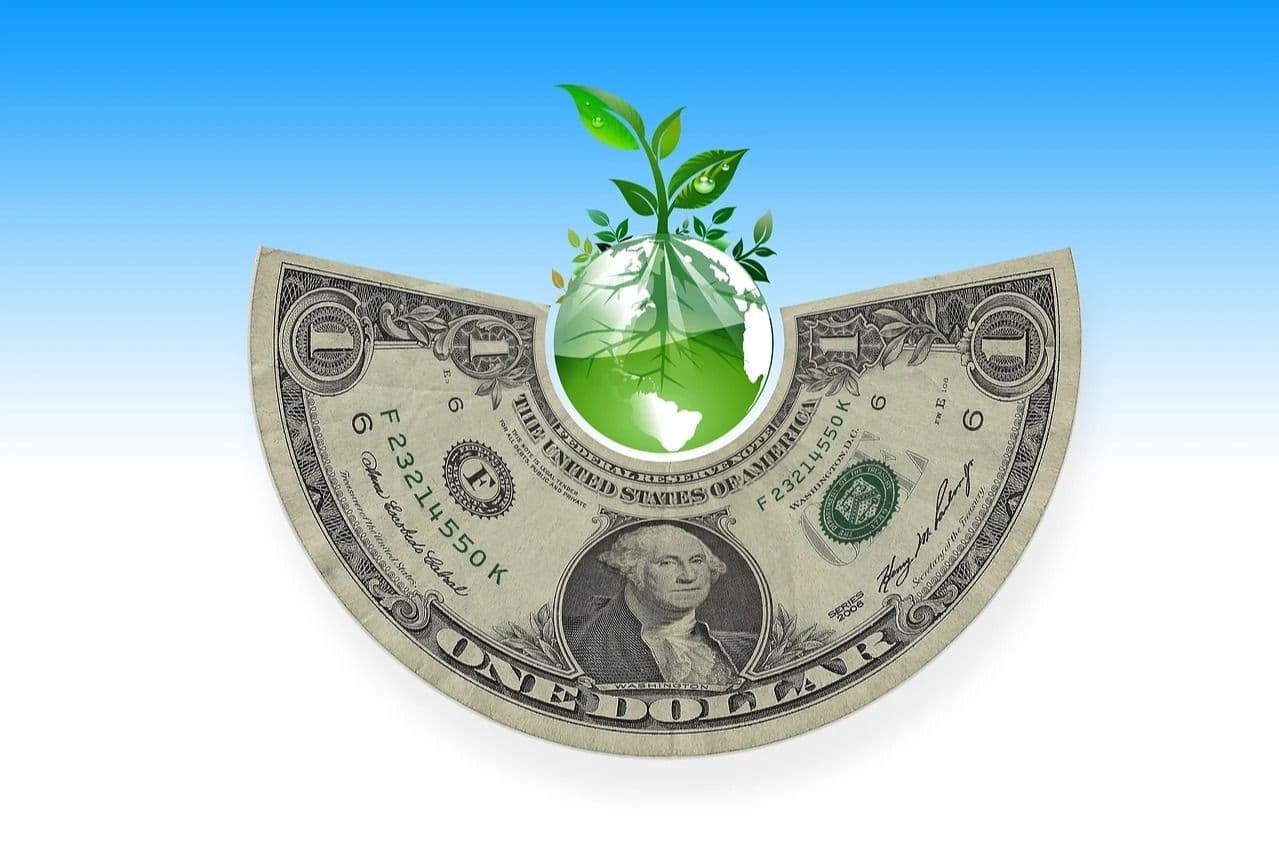 The Finance of Climate Change
