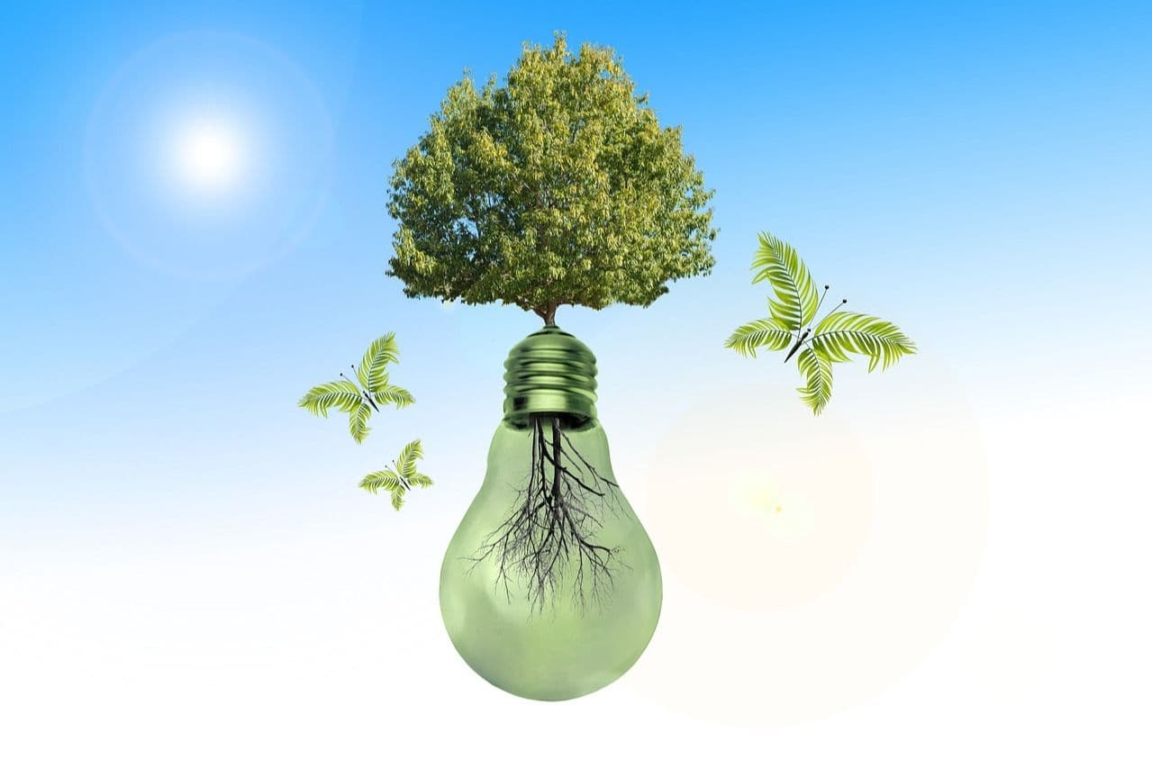 Business Sustainability in the Circular Economy