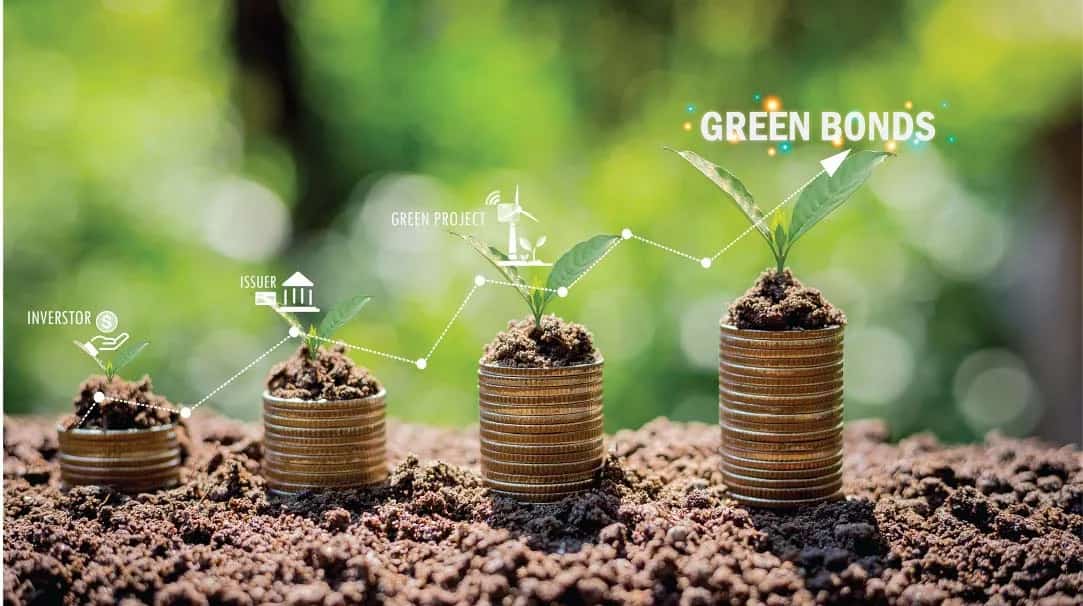 Amundi 2024 Green Bond Report Highlights Environmental Impact