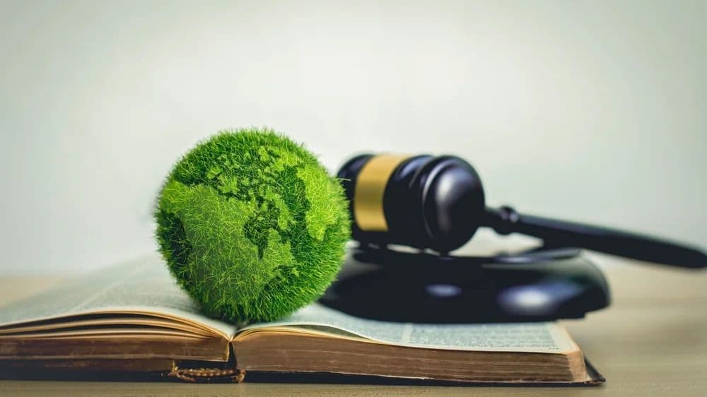 Greenplaces Powers Law Firms’ Sustainability Efforts