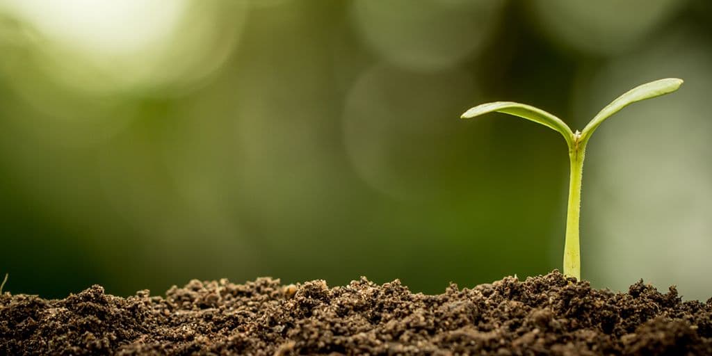 Austria Hires Banks to Sell New Green Bond