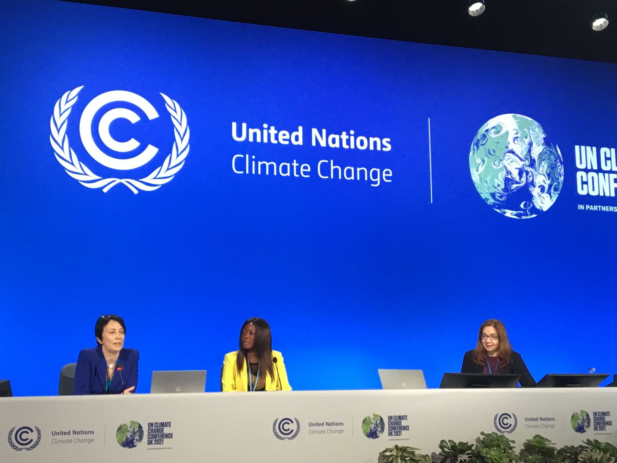 Green Transition Remains on Track Despite Disappointing COP27
