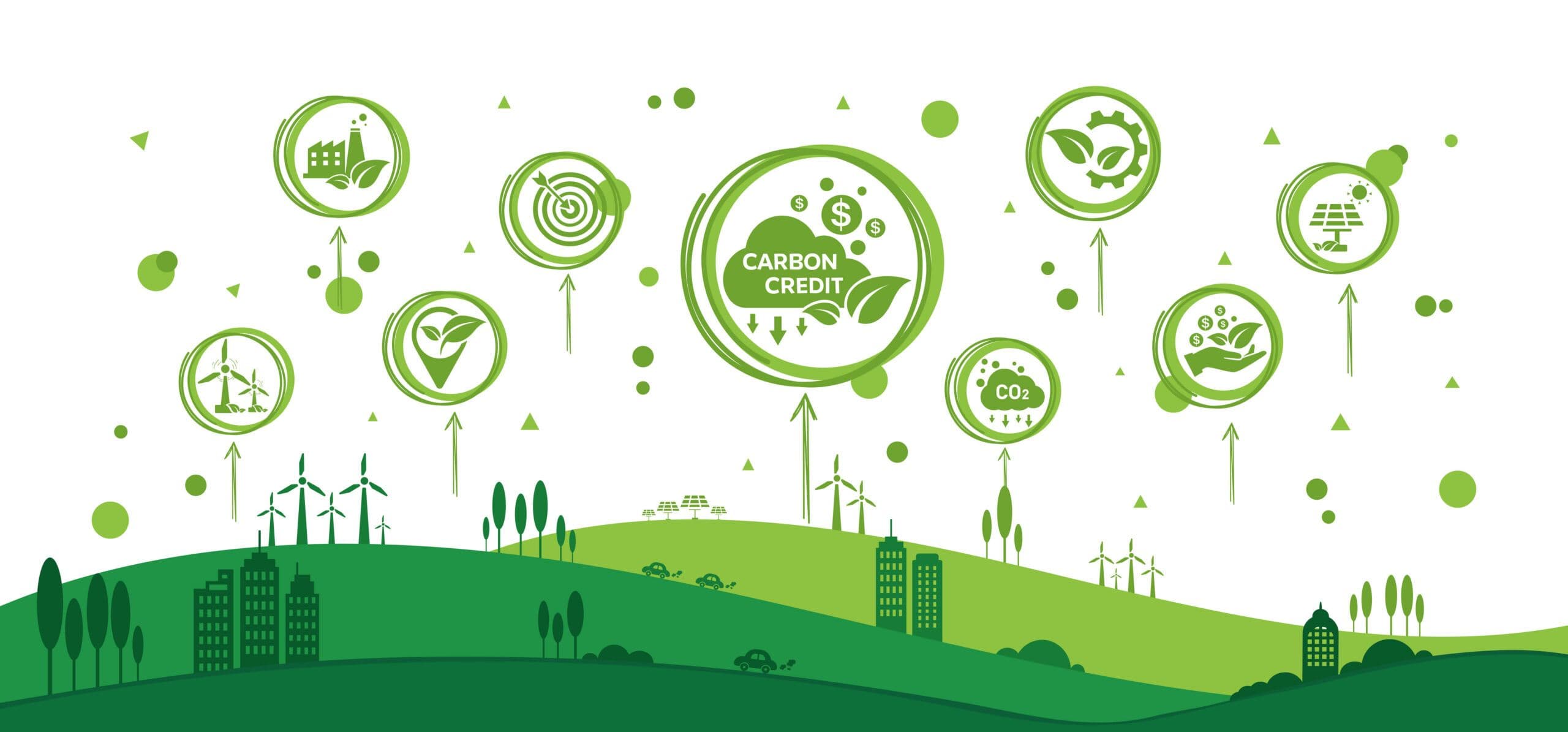 Indonesia Opens Carbon Exchange to International Buyers