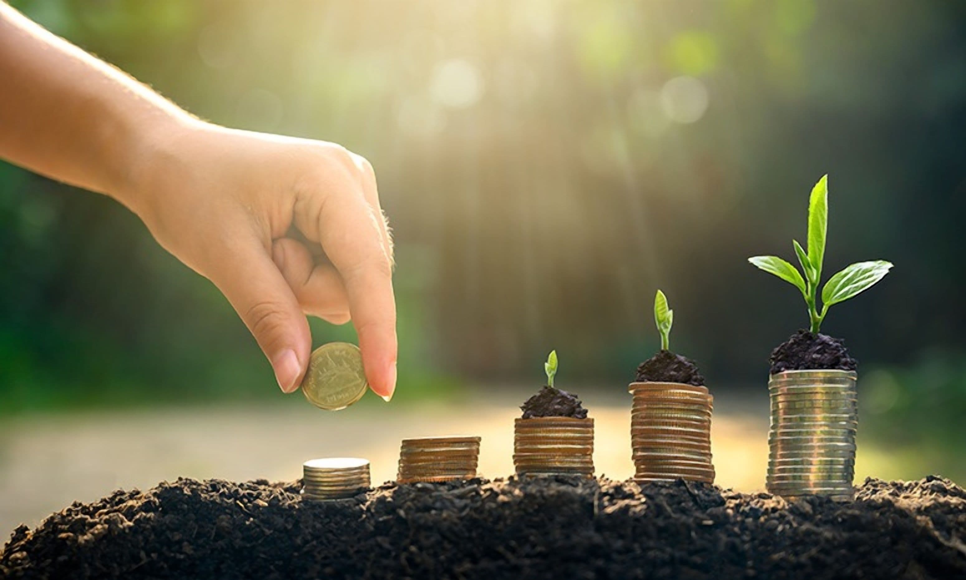 Certificate Programme in Sustainable Finance