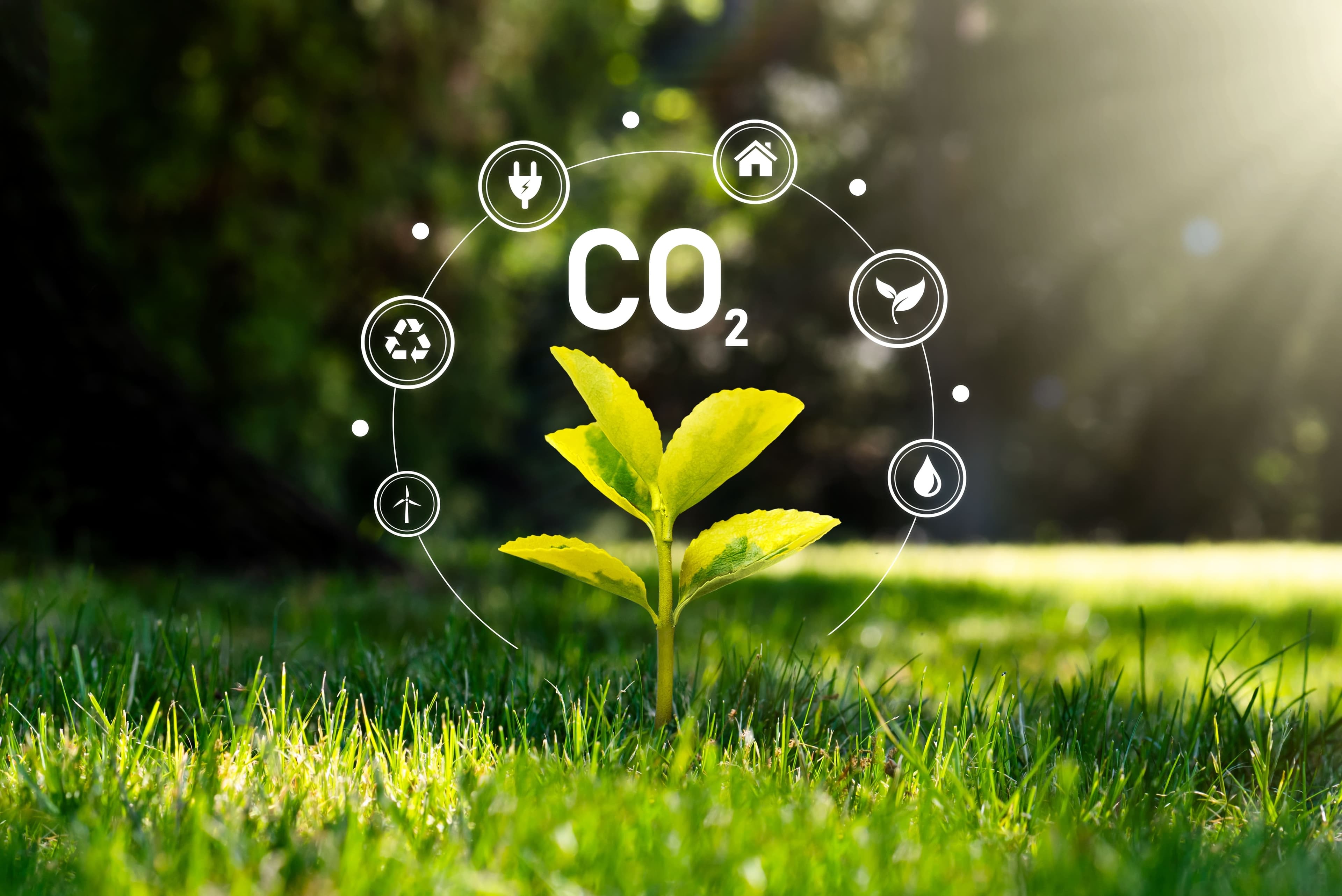 RBC's Push for Client Decarbonisation