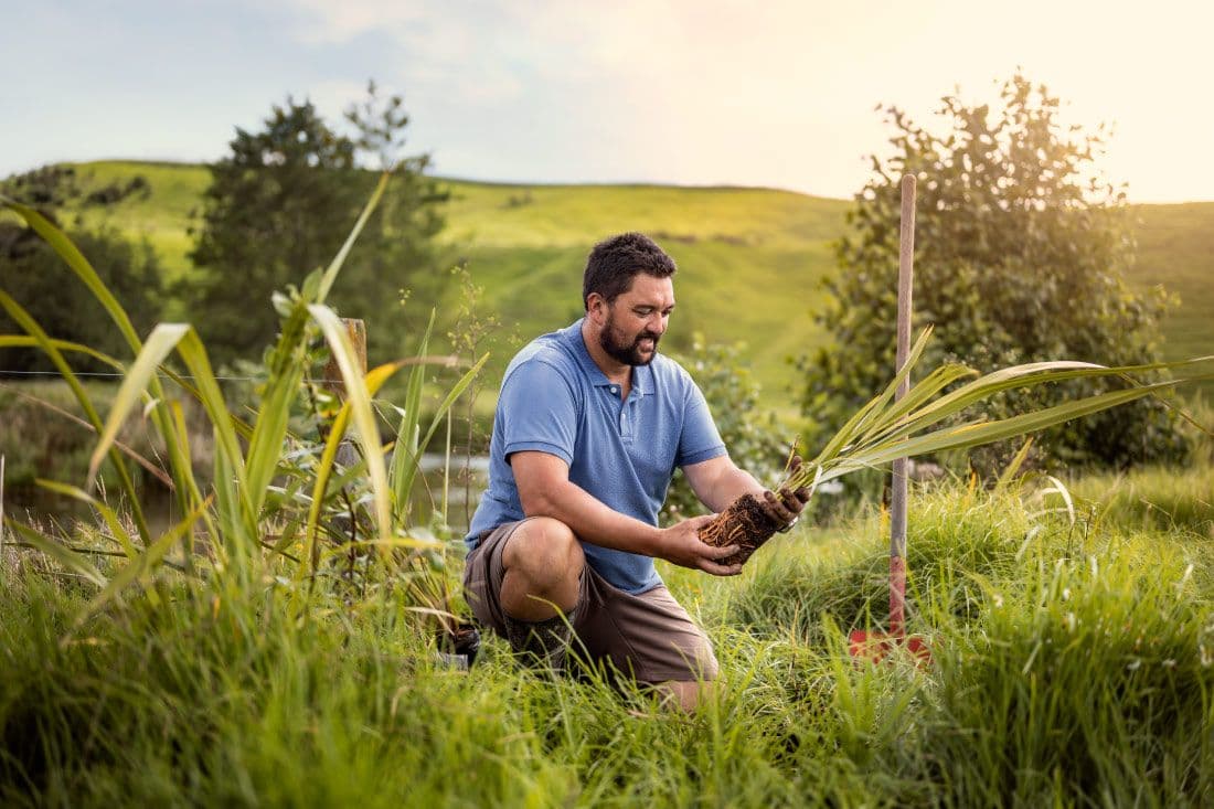 NZMP Launches Dairy Carbon Footprint Tool