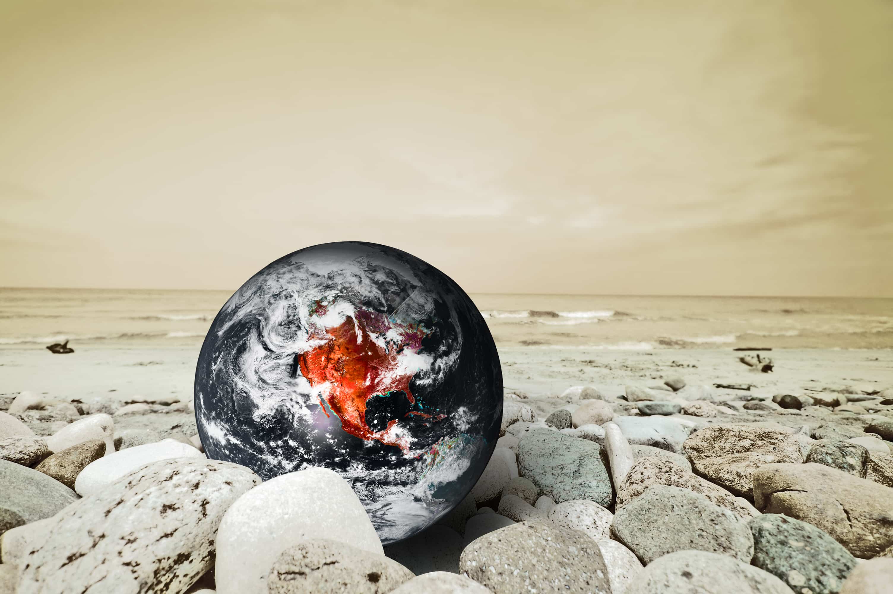 California Climate Disclosure Law Nears: What Businesses Must Do Now
