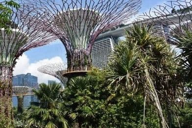 Urban Nature: Connecting Cities, Sustainability and Innovation