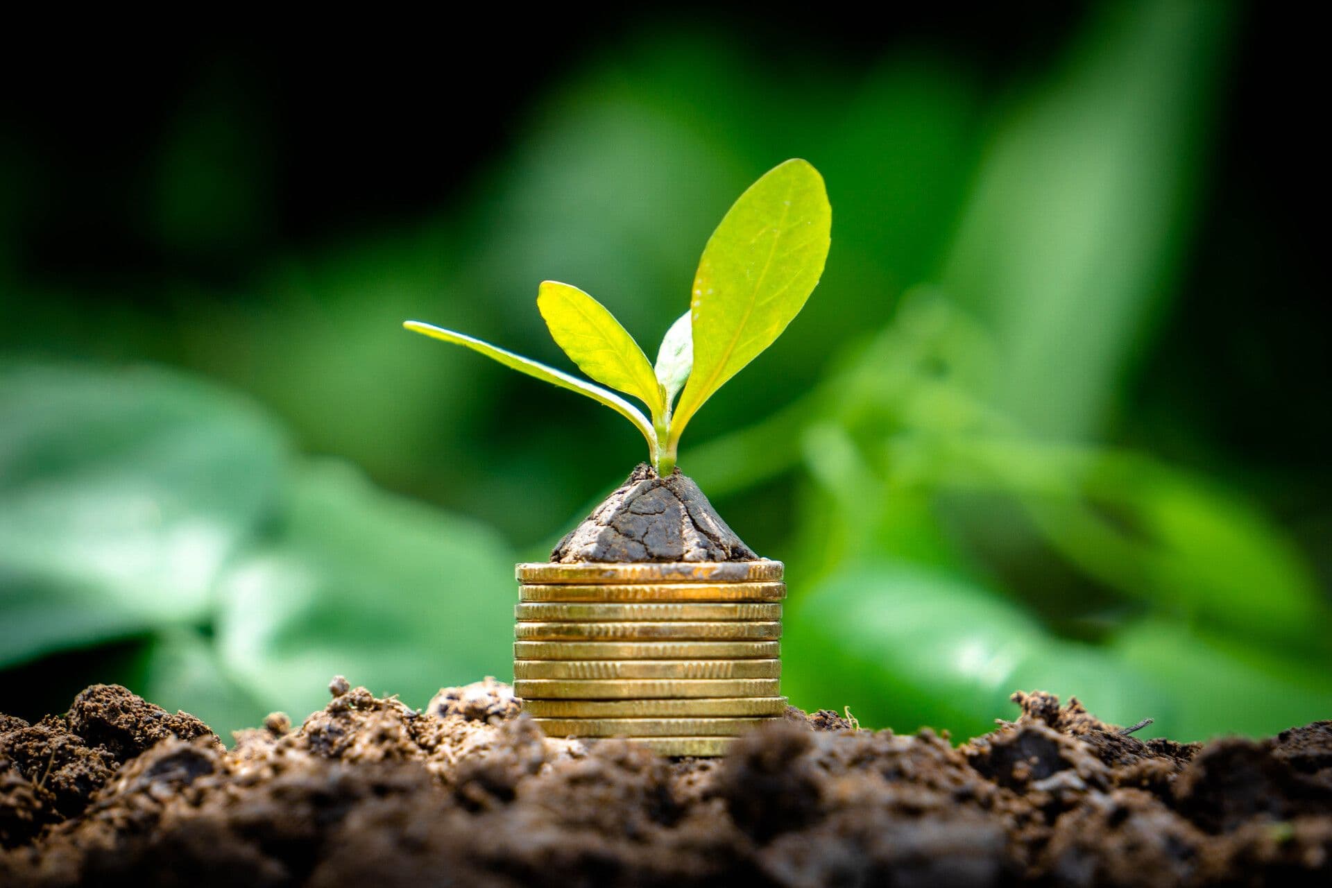 Hang Seng Bank: Green Business Loans & Support