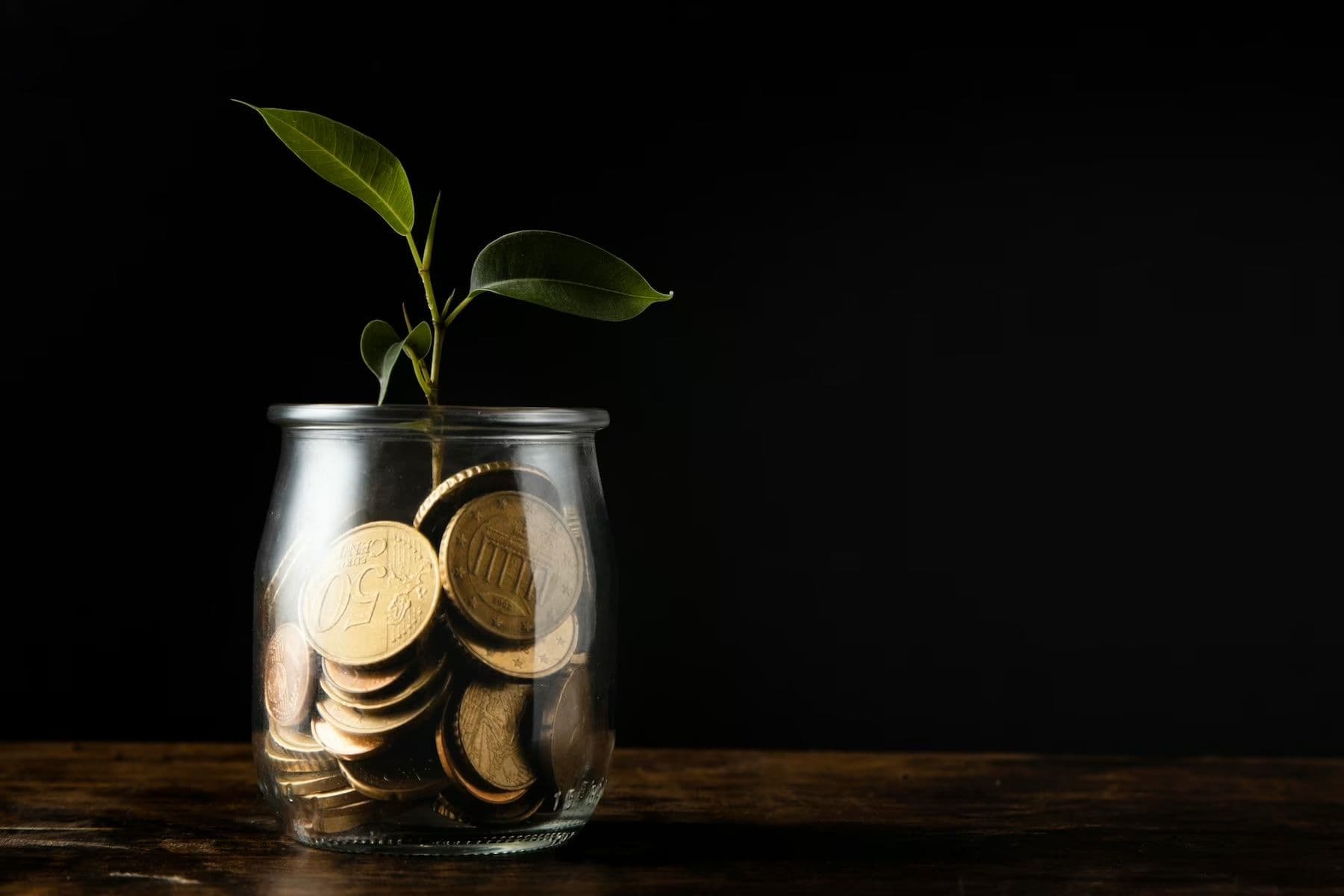 What Are ESG Bonds? Benefits & Future of Green Investing