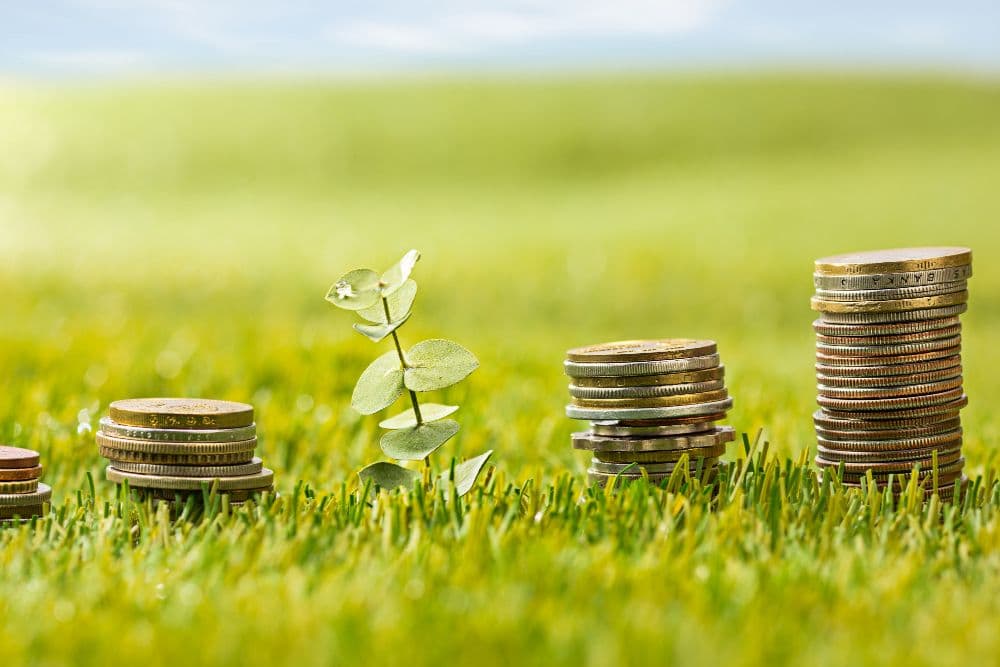 Temasek Allocates S$100M for Climate Action Initiatives