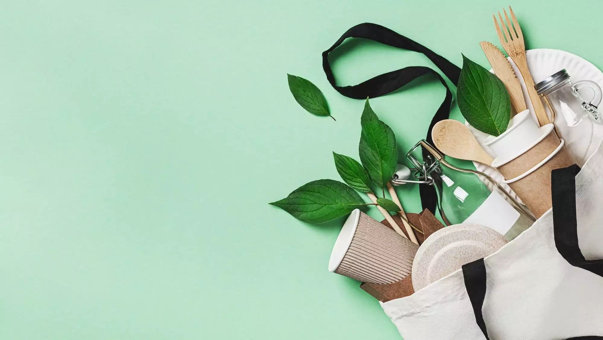 80% of Young Americans Are Willing to Pay More for Sustainable Products
