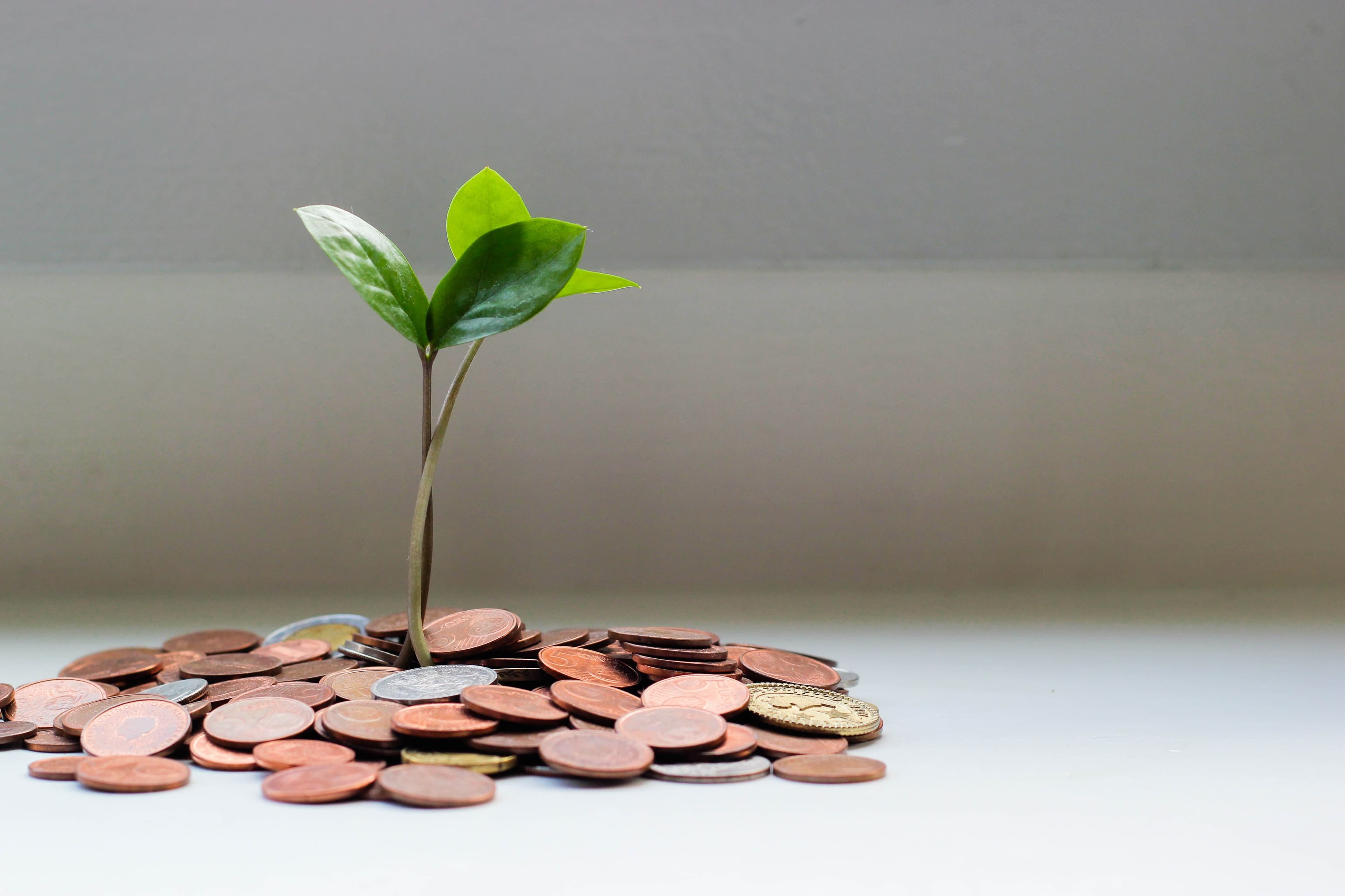 Financial Institutions Facing Net-Zero Transition Risks