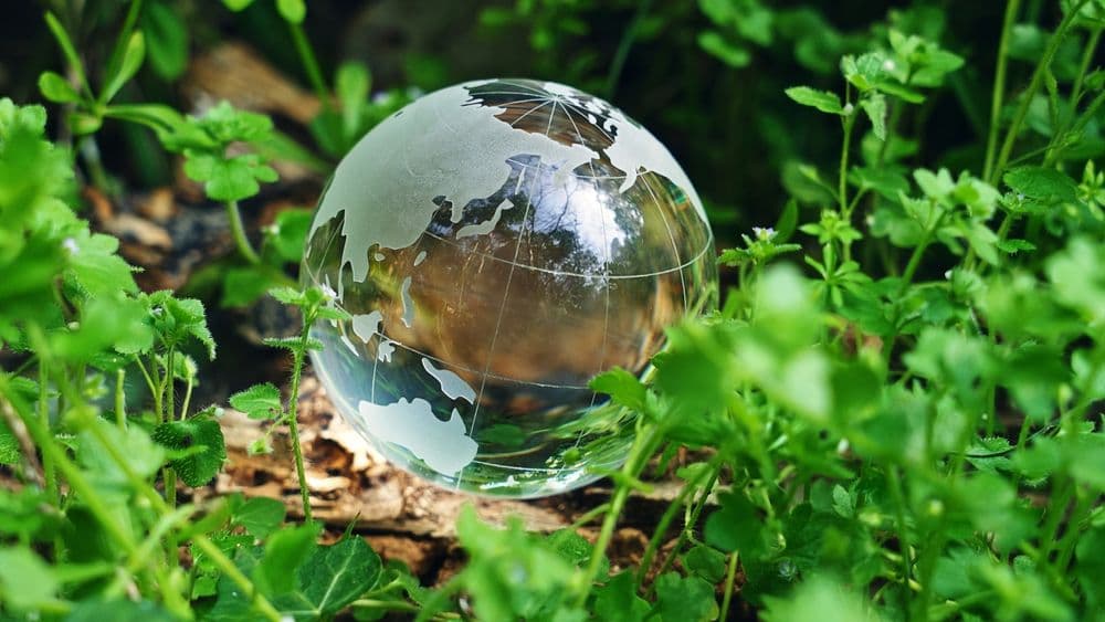 Private Equity Sustainability Practicum: Responsible Investing